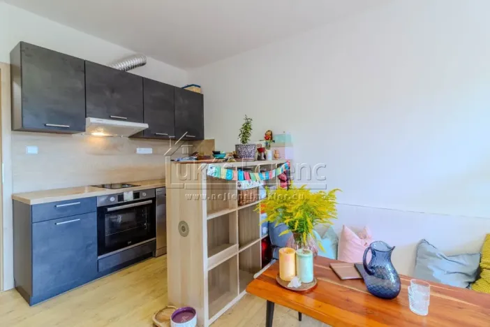 Pronájem bytu 1+kk, Slaný, Lázeňská, 37 m2