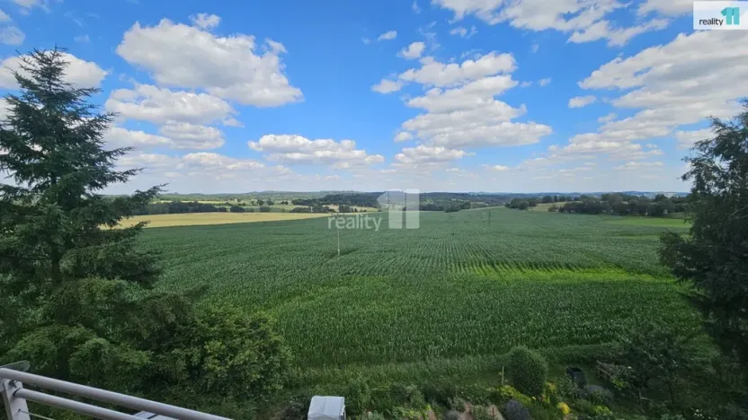 Prodej bytu 1+1, Chyšky, 77 m2