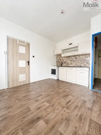 Pronájem bytu 1+1, Chomutov, Kundratická, 38 m2