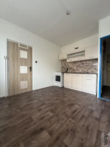 Pronájem bytu 1+1, Chomutov, Kundratická, 38 m2
