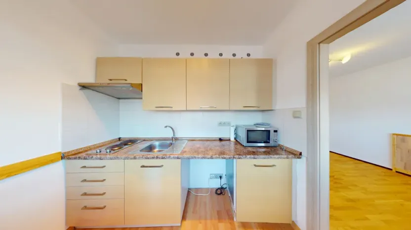 Pronájem bytu 1+1, Ostrava - Mariánské Hory, Václavská, 27 m2
