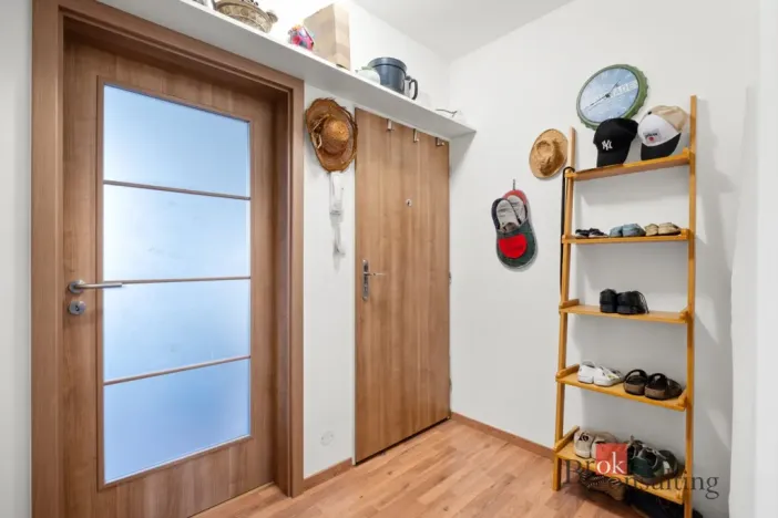 Prodej bytu 2+kk, Brno - Maloměřice, Karlova, 45 m2