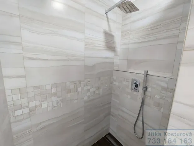 Pronájem bytu 1+kk, Opava - Předměstí, Nákladní, 32 m2
