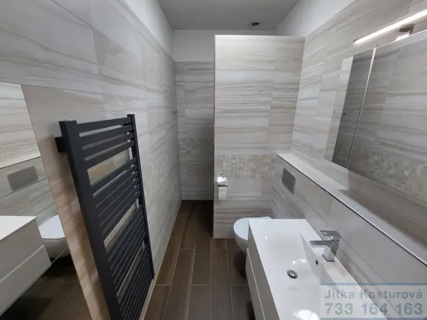 Pronájem bytu 1+kk, Opava - Předměstí, Nákladní, 32 m2