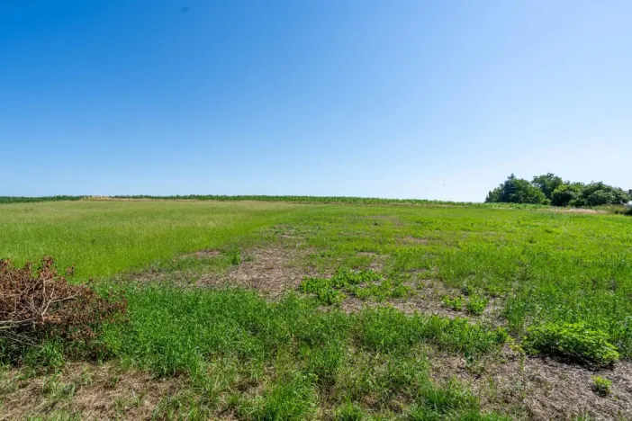 Prodej pozemku pro bydlení, Skalice - Číbuz, 1500 m2