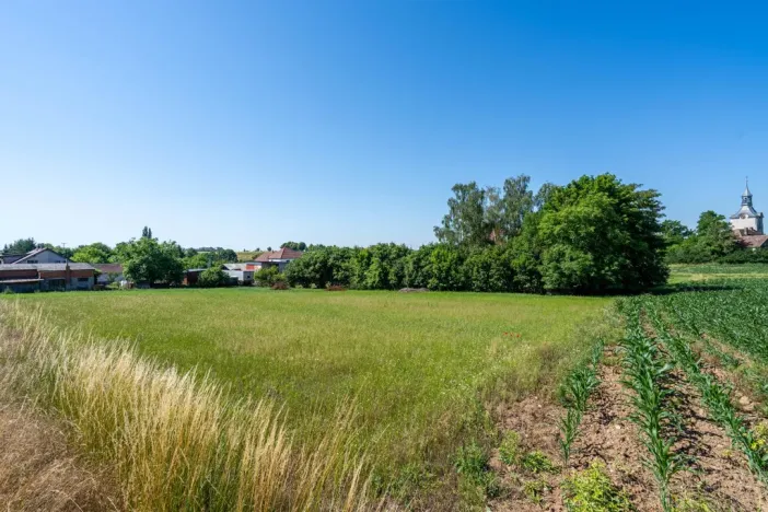 Prodej pozemku pro bydlení, Skalice - Číbuz, 1500 m2