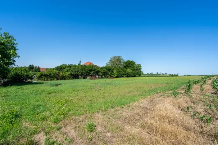 Prodej pozemku pro bydlení, Skalice - Číbuz, 1500 m2