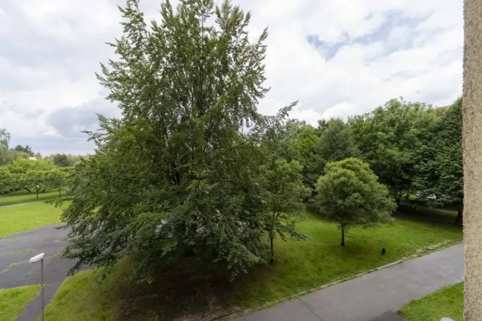 Prodej bytu 3+1, Ostrava - Hrabůvka, Cholevova, 75 m2