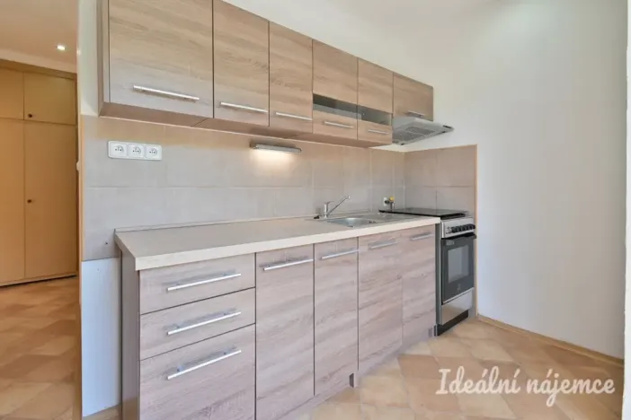 Pronájem bytu 2+1, Brno, Hlinky, 55 m2