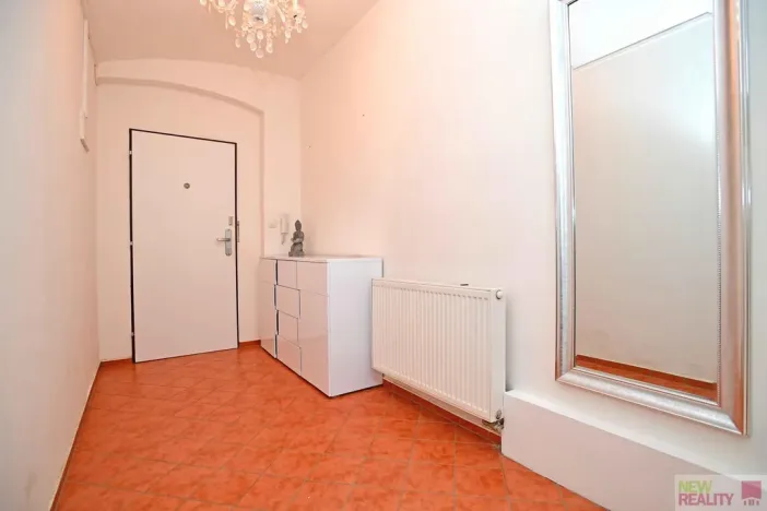 Prodej obchodního prostoru, Praha - Karlín, Březinova, 50 m2