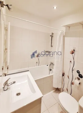 Pronájem bytu 1+1, Praha, Evropská, 37 m2
