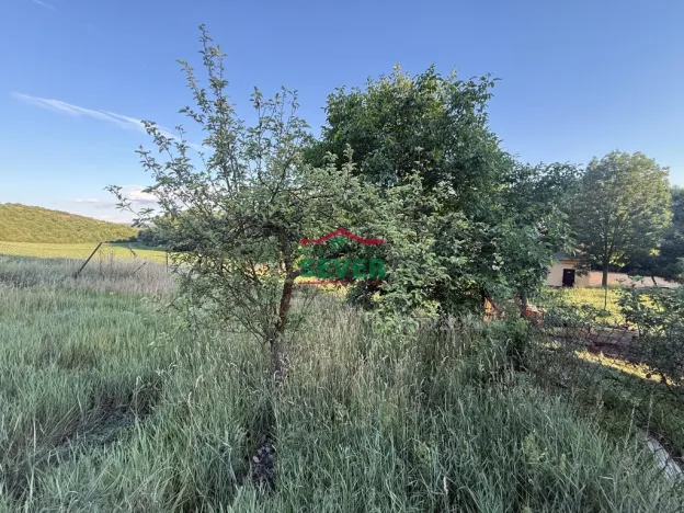 Prodej zahrady, Braňany, Pod Školou, 541 m2