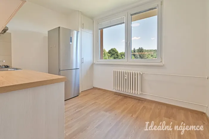 Pronájem bytu 1+1, Brno, Vavřinecká, 35 m2