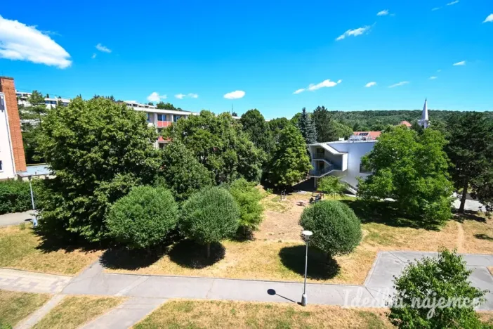 Pronájem bytu 1+1, Brno, Vavřinecká, 35 m2