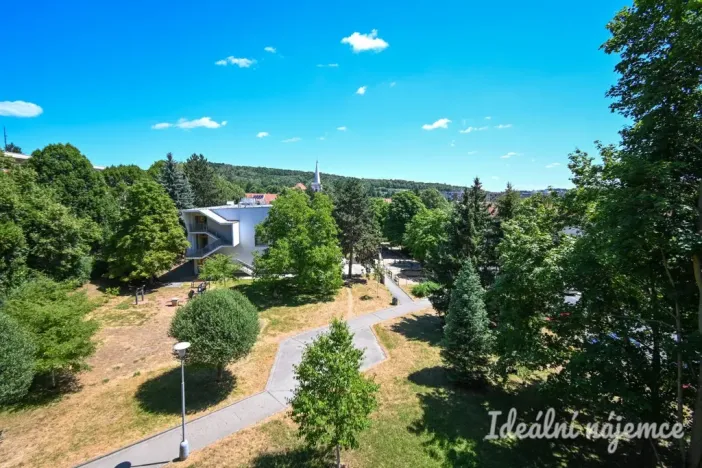 Pronájem bytu 1+1, Brno, Vavřinecká, 35 m2