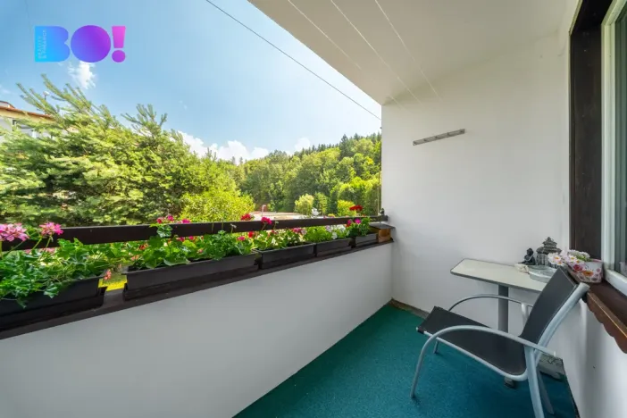 Prodej činžovního domu, Mladé Buky - Kalná Voda, 750 m2