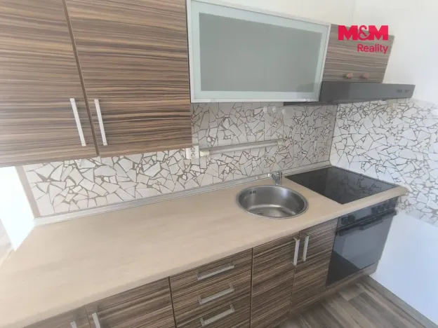 Pronájem bytu 1+kk, Ústí nad Labem - Krásné Březno, Dr. Horákové, 32 m2