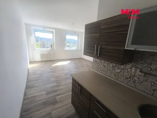 Pronájem bytu 1+kk, Ústí nad Labem - Krásné Březno, Dr. Horákové, 32 m2
