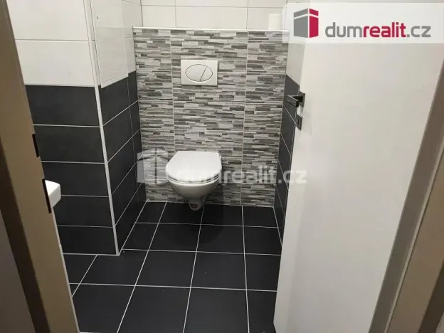 Pronájem bytu 1+1, Spálené Poříčí, Zámecká, 39 m2