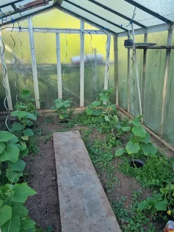 Prodej chaty, Hradec Králové - Plácky, Zahrádkářská osada U Labe, 38 m2