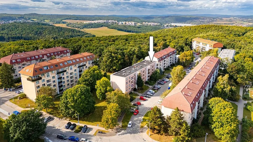 Pronájem bytu 2+1, Brno - Kohoutovice, Bellova, 58 m2