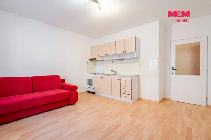 Prodej bytu 2+kk, České Budějovice - České Budějovice 3, Riegrova, 44 m2