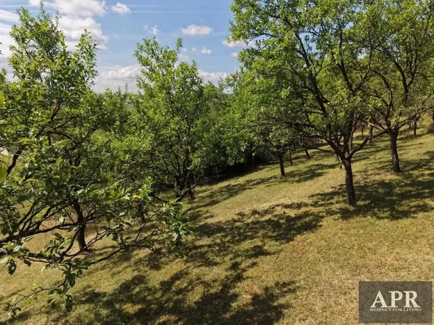 Prodej zahrady, Prakšice, 2596 m2