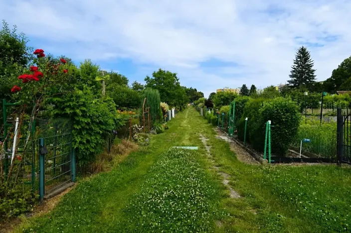 Prodej zahrady, Chodov, Polní, 178 m2