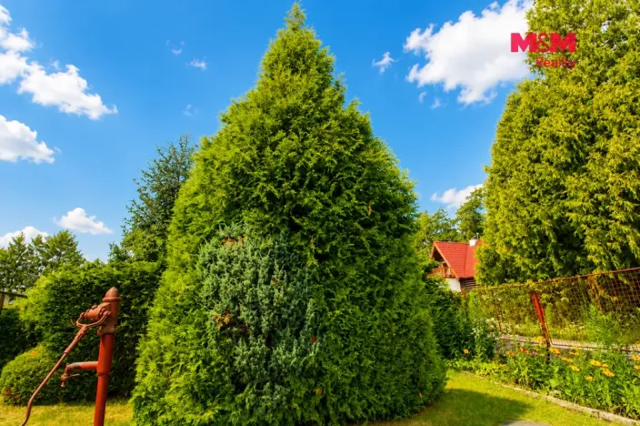 Pronájem chaty, Nový Vestec, Pod Bažantnicí, 35 m2