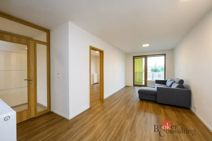 Pronájem bytu 2+kk, Plzeň - Východní Předměstí, Pallova, 56 m2