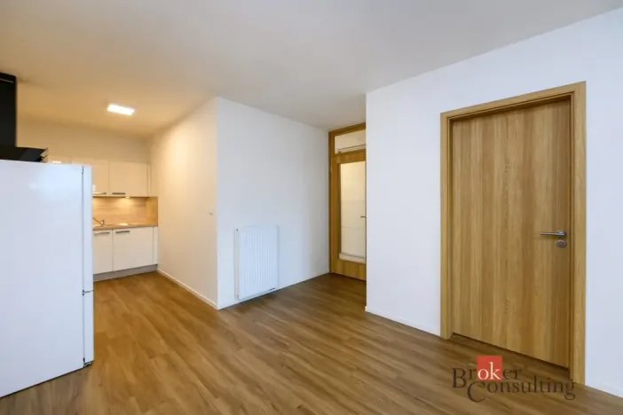 Pronájem bytu 2+kk, Plzeň - Východní Předměstí, Pallova, 56 m2
