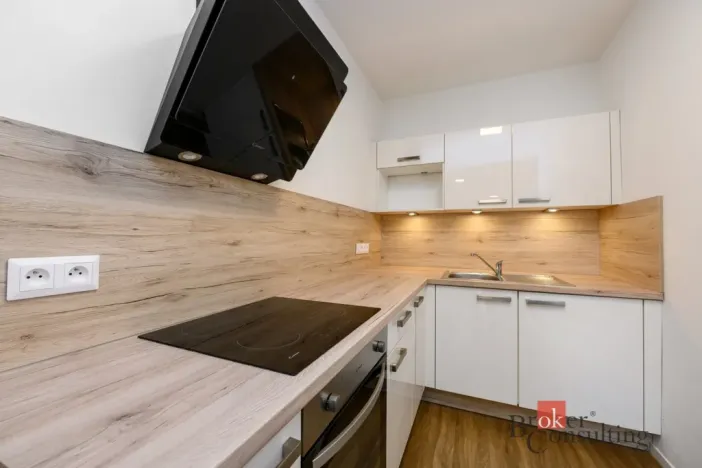 Pronájem bytu 2+kk, Plzeň - Východní Předměstí, Pallova, 56 m2