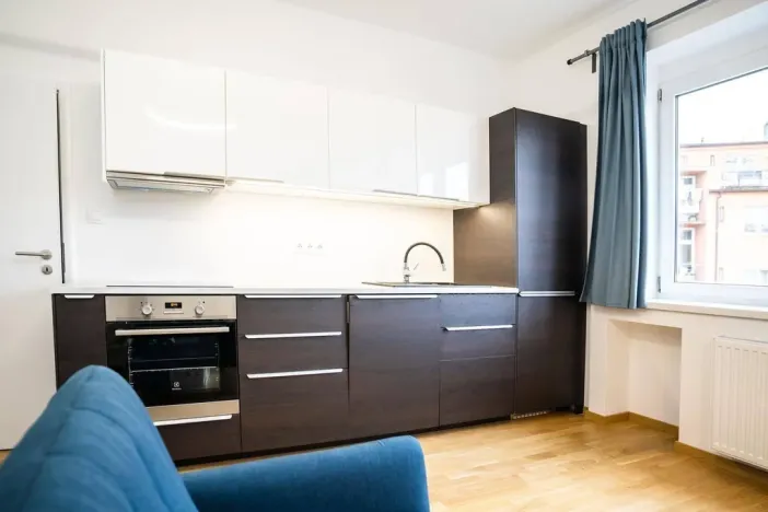 Pronájem bytu 1+kk, Praha - Nusle, U Pernštejnských, 30 m2