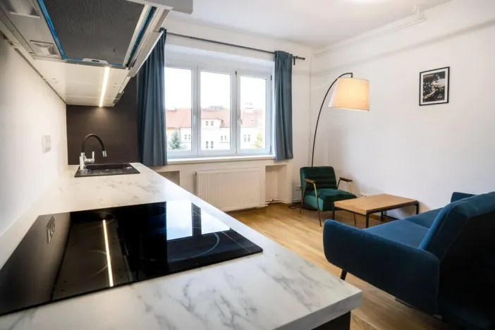 Pronájem bytu 1+kk, Praha - Nusle, U Pernštejnských, 30 m2