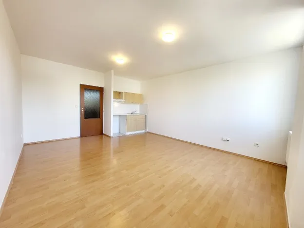 Pronájem bytu 1+kk, Brno, Svitavské nábřeží, 33 m2