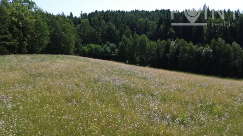 Prodej pozemku pro bydlení, Gruna - Žipotín, 3632 m2