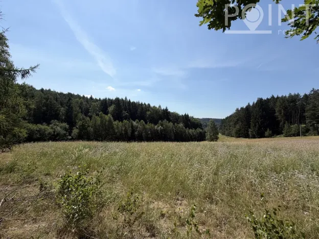 Prodej komerčního pozemku, Gruna - Žipotín, 3632 m2