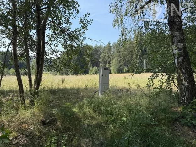 Prodej komerčního pozemku, Gruna - Žipotín, 3632 m2