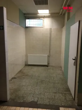 Pronájem obchodního prostoru, Ostrava, Vietnamská, 166 m2