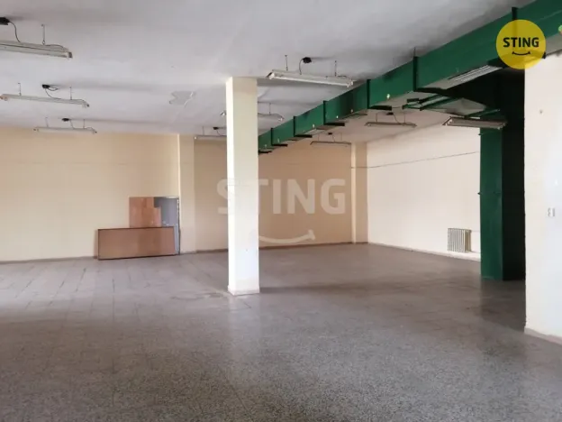 Pronájem obchodního prostoru, Prostějov, Plumlovská, 500 m2