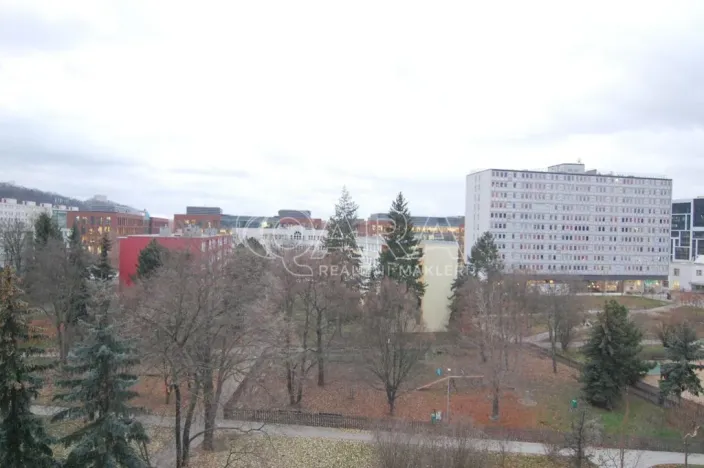 Pronájem bytu 1+kk, Praha - Karlín, Nekvasilova, 27 m2