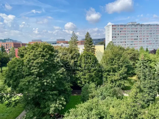Pronájem bytu 1+kk, Praha - Karlín, Nekvasilova, 27 m2