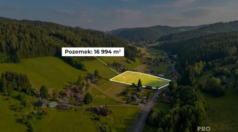 Prodej pozemku pro bydlení, Velké Karlovice, 17000 m2