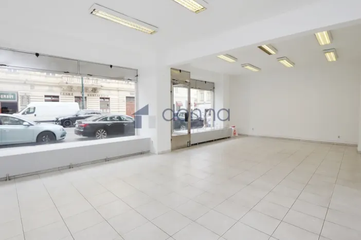 Pronájem obchodního prostoru, Praha, Štěpánská, 81 m2