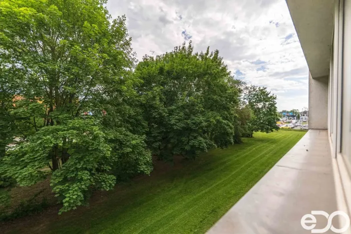 Prodej bytu 1+1, Hradec Králové, Polní, 26 m2