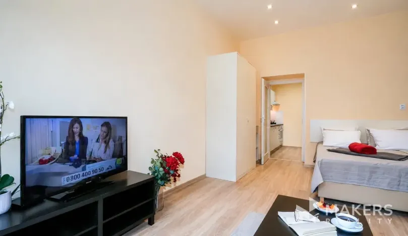 Pronájem bytu 1+1, Praha - Vinohrady, Máchova, 40 m2
