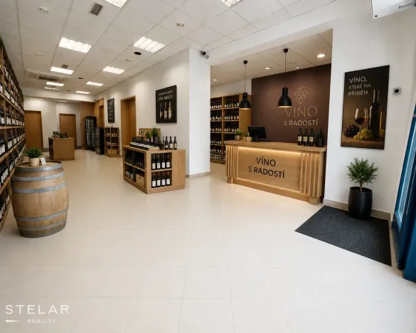 Pronájem obchodního prostoru, Hlučín, Mírové náměstí, 127 m2