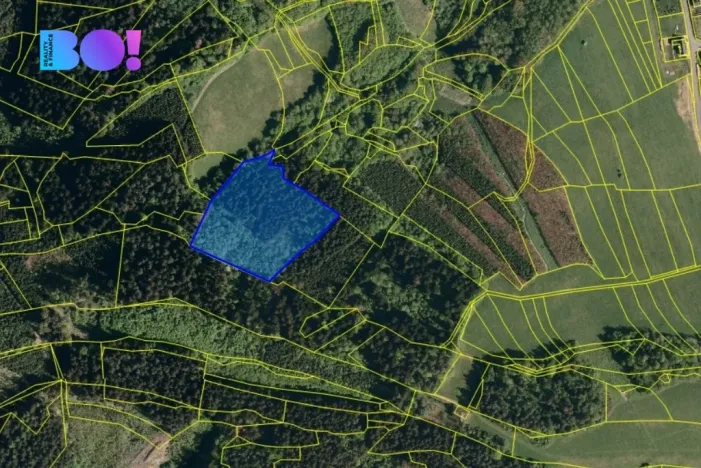 Prodej lesa, Valašská Polanka, 14596 m2