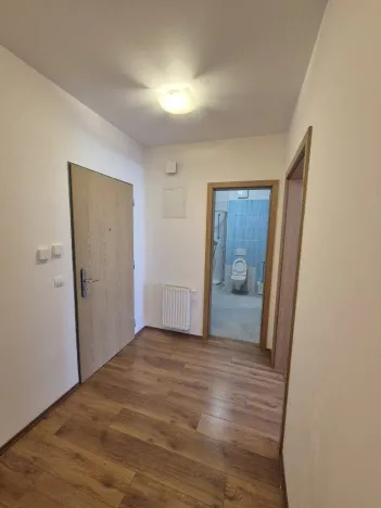 Pronájem bytu 2+kk, Praha - Karlín, Křižíkova, 54 m2