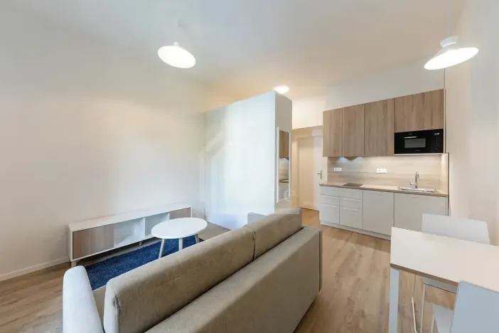 Pronájem bytu 1+kk, Praha - Holešovice, Milady Horákové, 30 m2